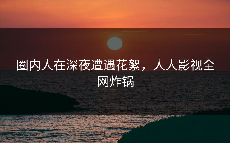 圈内人在深夜遭遇花絮，人人影视全网炸锅