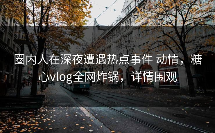 圈内人在深夜遭遇热点事件 动情，糖心vlog全网炸锅，详情围观