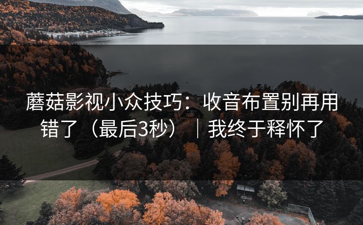 蘑菇影视小众技巧：收音布置别再用错了（最后3秒）｜我终于释怀了